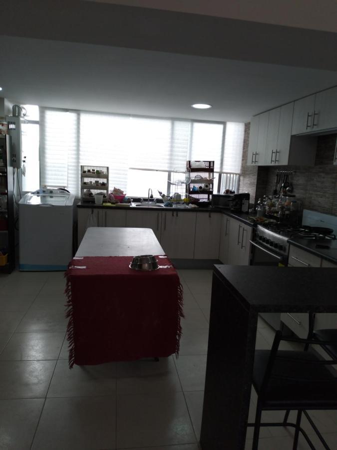 Charming Sunny Bedroom Overlooking Beautiful Amsterdam Avenue In Best Condesa Area Mexico-stad Buitenkant foto