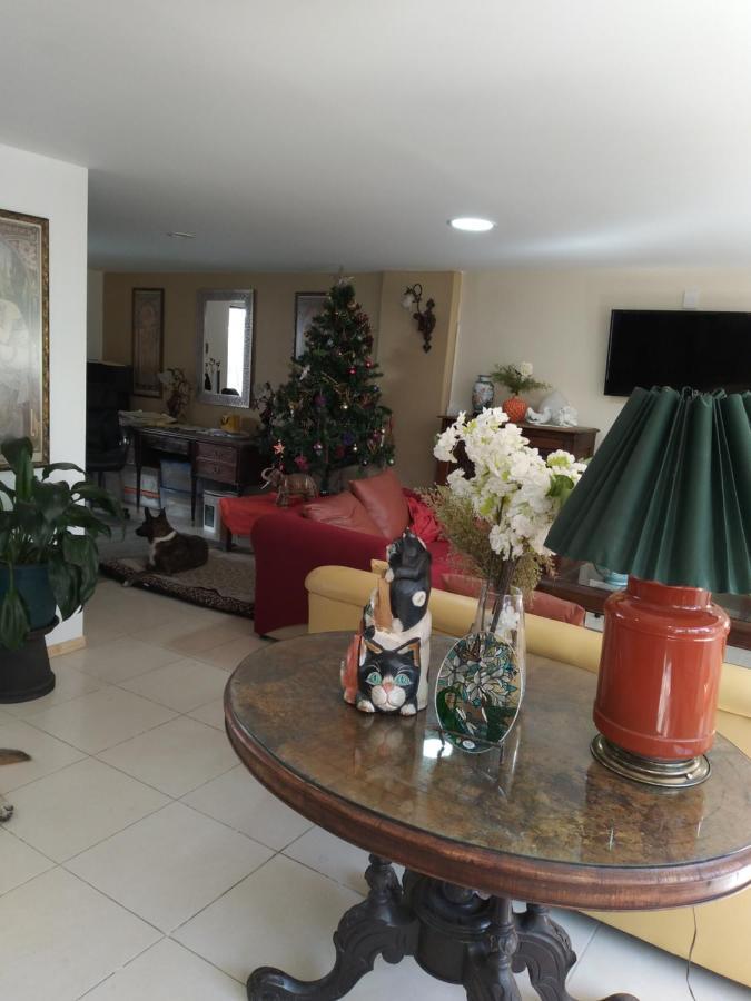 Charming Sunny Bedroom Overlooking Beautiful Amsterdam Avenue In Best Condesa Area Mexico-stad Buitenkant foto
