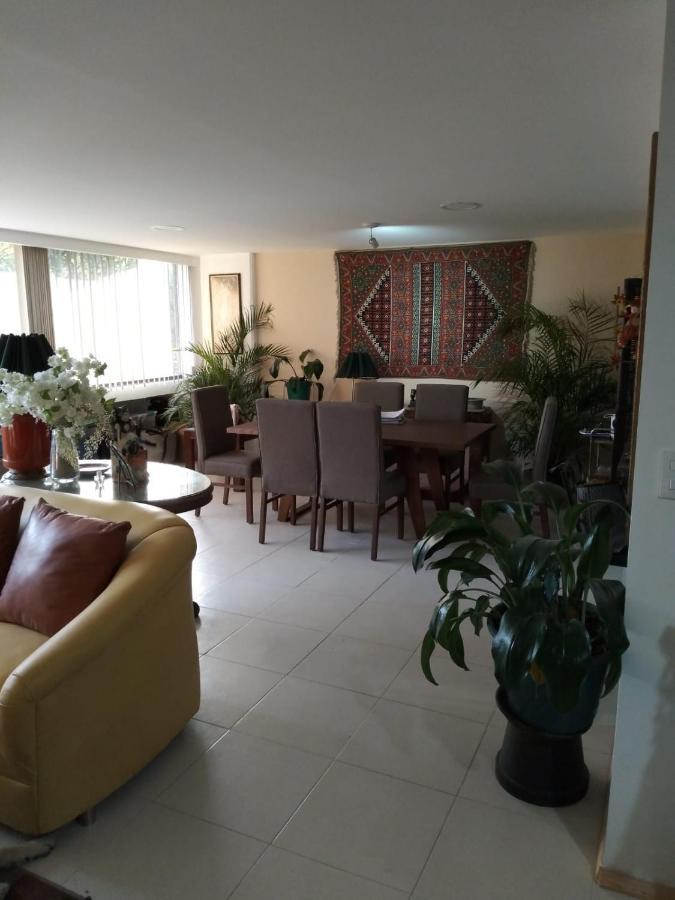 Charming Sunny Bedroom Overlooking Beautiful Amsterdam Avenue In Best Condesa Area Mexico-stad Buitenkant foto