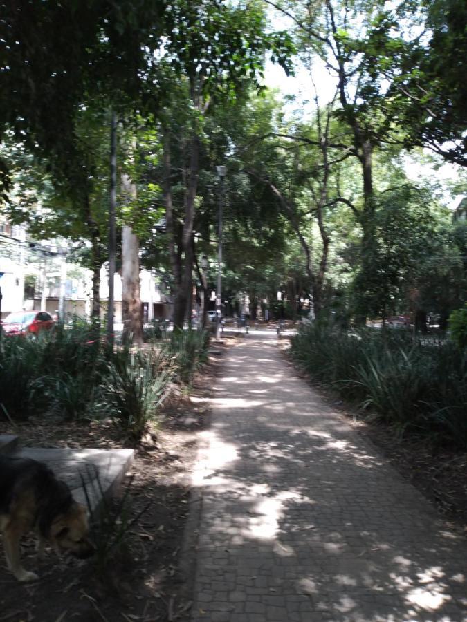 Charming Sunny Bedroom Overlooking Beautiful Amsterdam Avenue In Best Condesa Area Mexico-stad Buitenkant foto