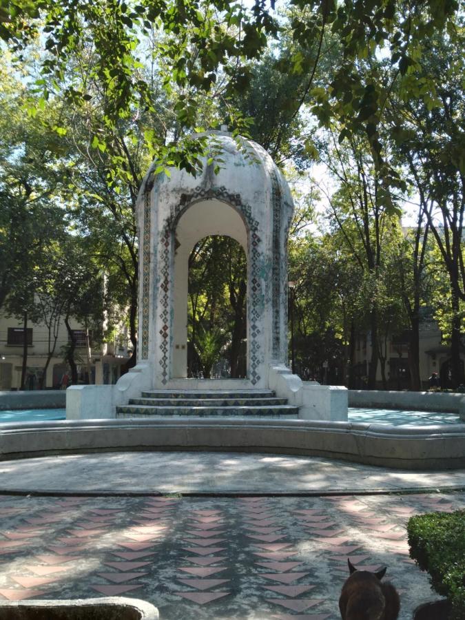 Charming Sunny Bedroom Overlooking Beautiful Amsterdam Avenue In Best Condesa Area Mexico-stad Buitenkant foto
